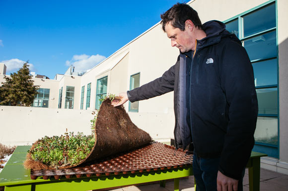 Greg Yuritsy showing green roofing product sample