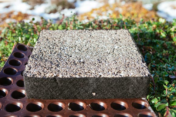 Green Roof substrate block